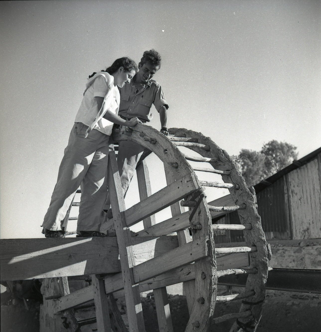 באר אברהם, 1951