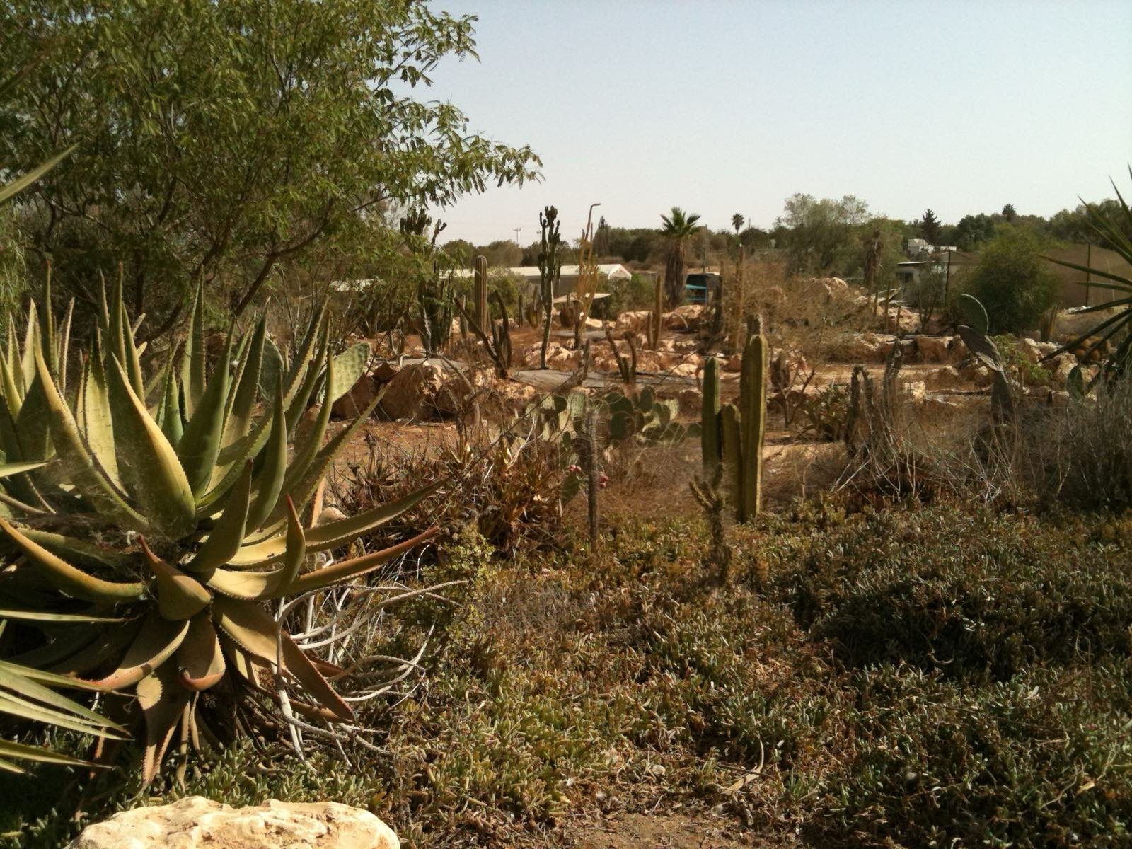 O jardim zoológico de Beer Sheva, 2010