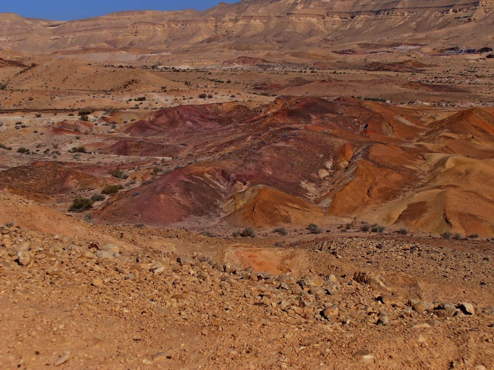 החולות הצבעוניים, 2015