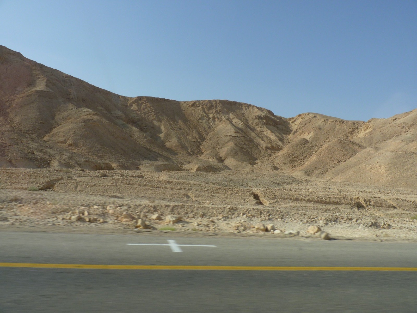 כפר הנוקדים, 2010