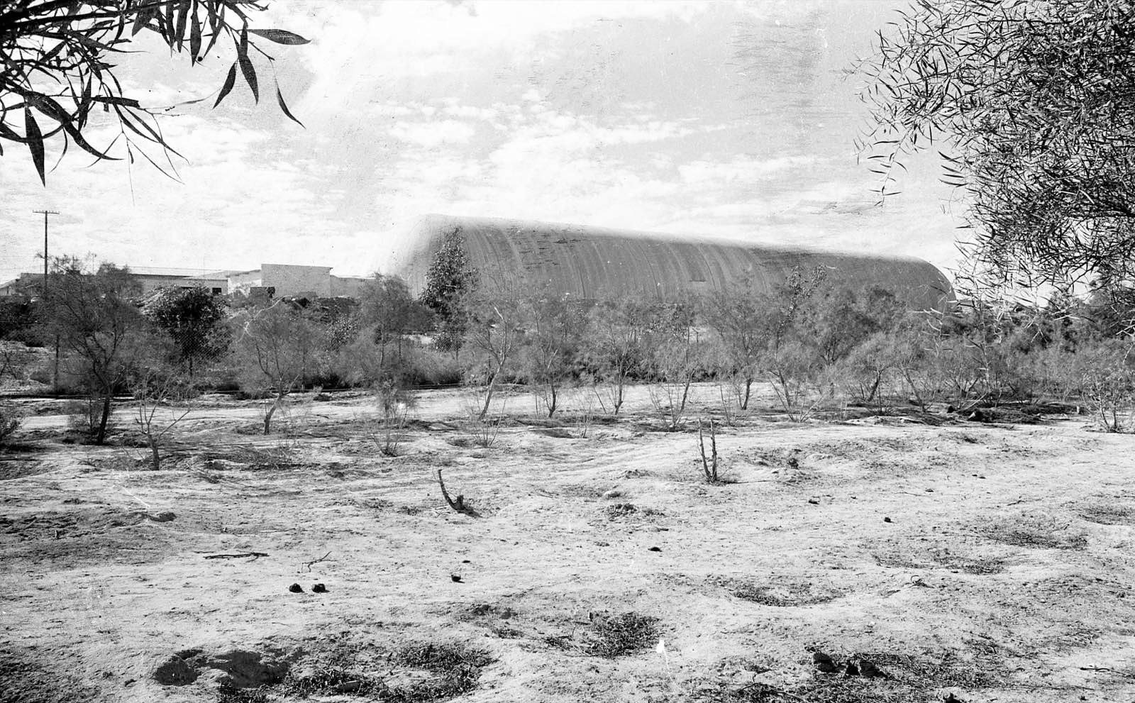 מתחם סיבי דימונה, 1969